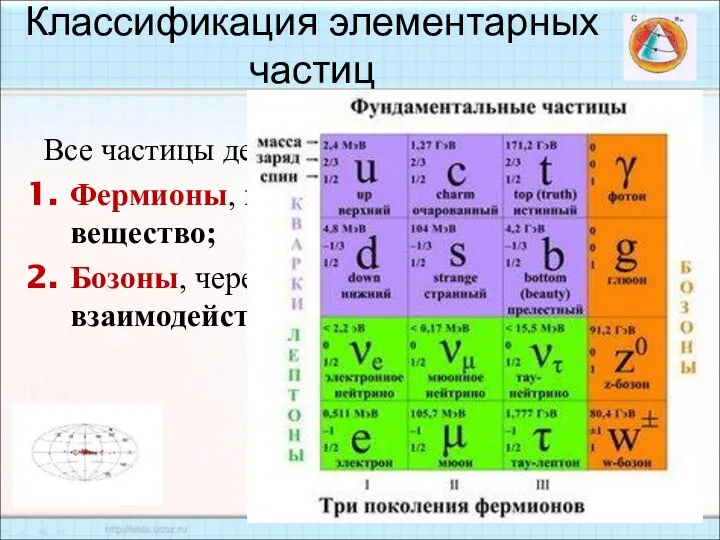 Классификация элементарных частиц Все частицы делятся на два класса: Фермионы, которые