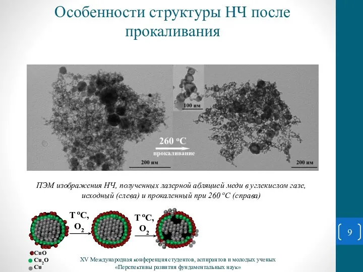 XV Международная конференция студентов, аспирантов и молодых ученых «Перспективы развития фундаментальных