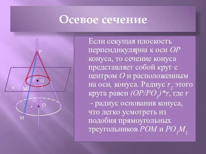 Осевое сечение Если секущая плоскость перпендикулярна к оси ОР конуса, то