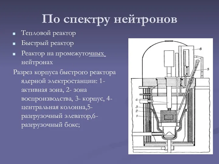 По спектру нейтронов Тепловой реактор Быстрый реактор Реактор на промежуточных нейтронах