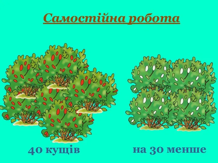 Самостійна робота 40 кущів на 30 менше