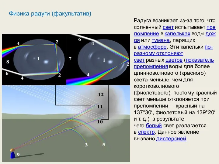 Физика радуги (факультатив) Радуга возникает из-за того, что солнечный свет испытывает