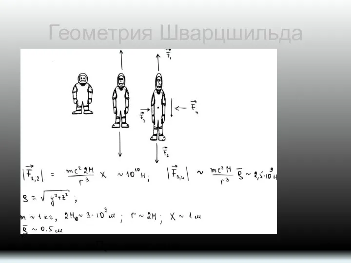 Геометрия Шварцшильда Приливные силы