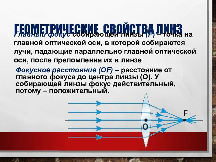 ГЕОМЕТРИЧЕСКИЕ СВОЙСТВА ЛИНЗ Главный фокус собирающей линзы (F) – точка на