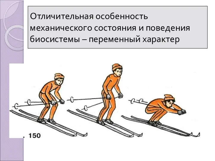 Отличительная особенность механического состояния и поведения биосистемы – переменный характер