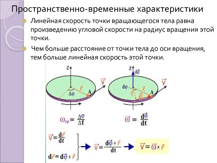 Пространственно-временные характеристики Линейная скорость точки вращающегося тела равна произведению угловой скорости