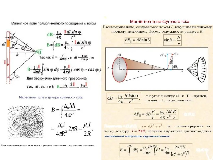 Магнитное поле кругового тока