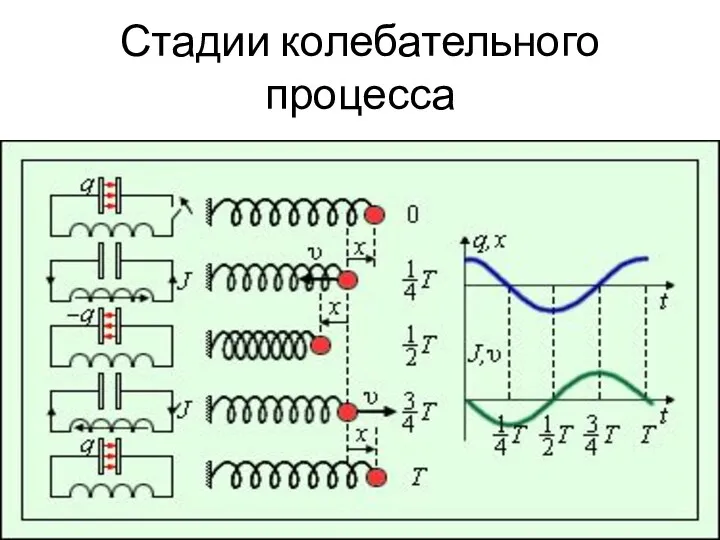 Стадии колебательного процесса