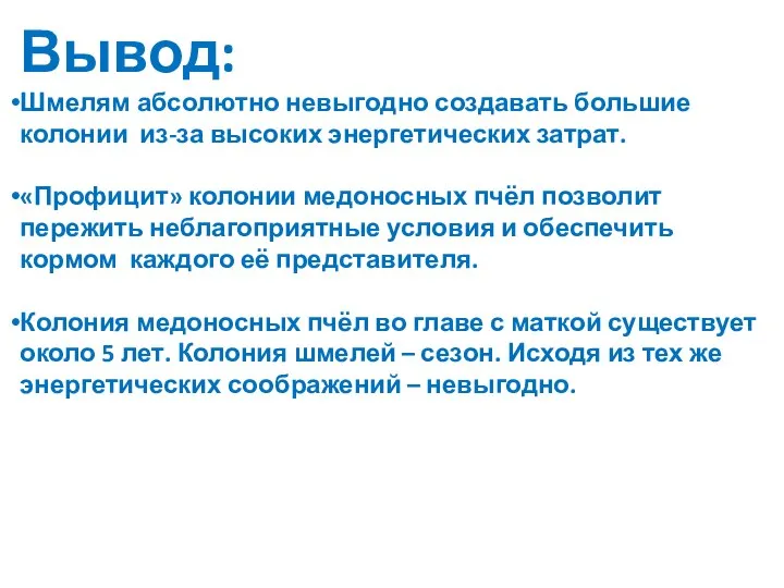 Вывод: Шмелям абсолютно невыгодно создавать большие колонии из-за высоких энергетических затрат.