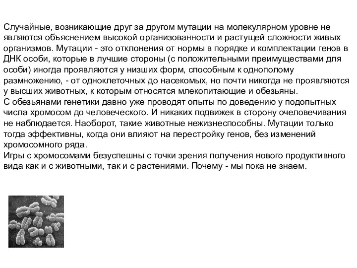 Случайные, возникающие друг за другом мутации на молекулярном уровне не являются