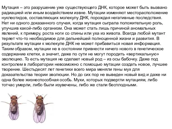 Мутация – это разрушение уже существующего ДНК, которое может быть вызвано