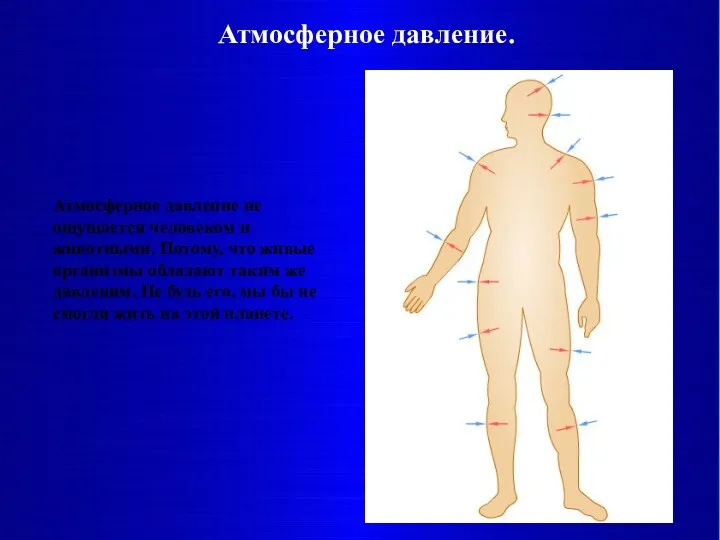 Атмосферное давление. Атмосферное давление не ощущается человеком и животными. Потому, что