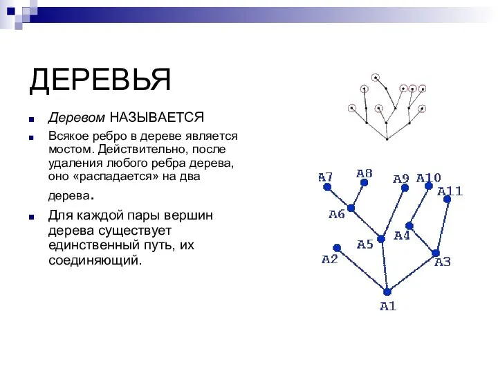 ДЕРЕВЬЯ Деревом НАЗЫВАЕТСЯ Всякое ребро в дереве является мостом. Действительно, после