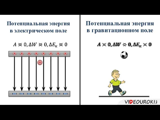 Потенциальная энергия в электрическом поле Потенциальная энергия в гравитационном поле