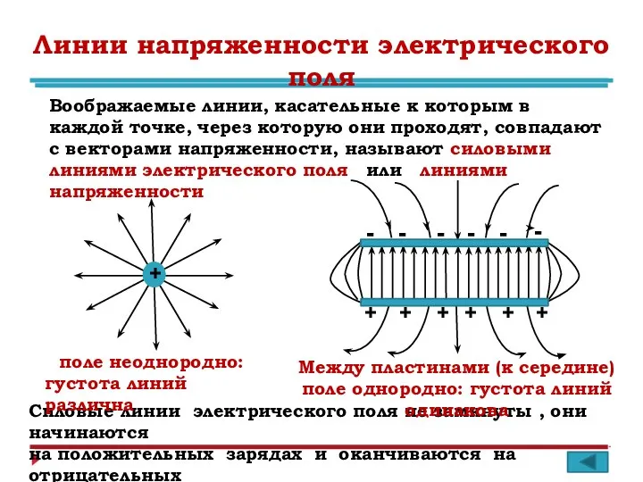 Линии напряженности электрического поля Воображаемые линии, касательные к которым в каждой