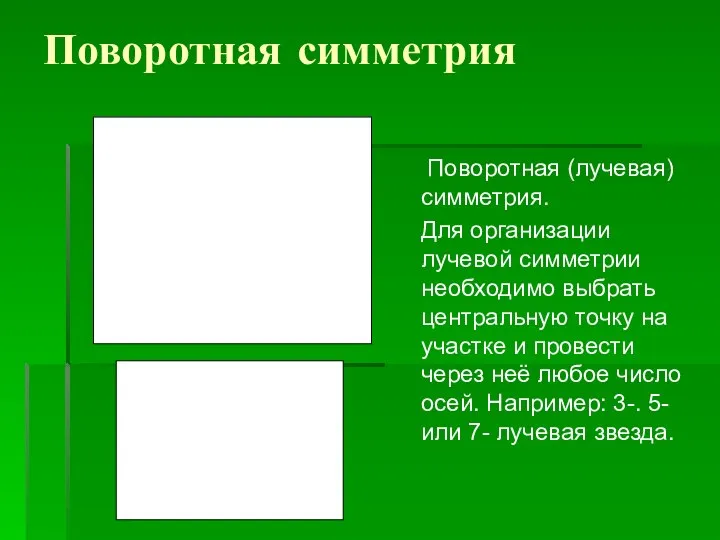 Поворотная симметрия Поворотная (лучевая) симметрия. Для организации лучевой симметрии необходимо выбрать