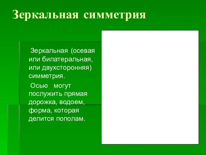 Зеркальная симметрия Зеркальная (осевая или билатеральная, или двухсторонняя) симметрия. Осью могут