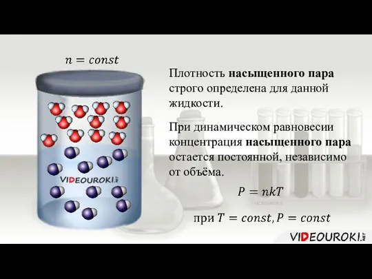 Плотность насыщенного пара строго определена для данной жидкости. При динамическом равновесии