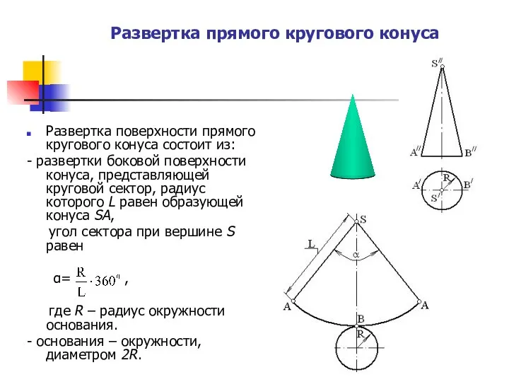 Развертка прямого кругового конуса Развертка поверхности прямого кругового конуса состоит из: