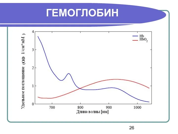 ГЕМОГЛОБИН