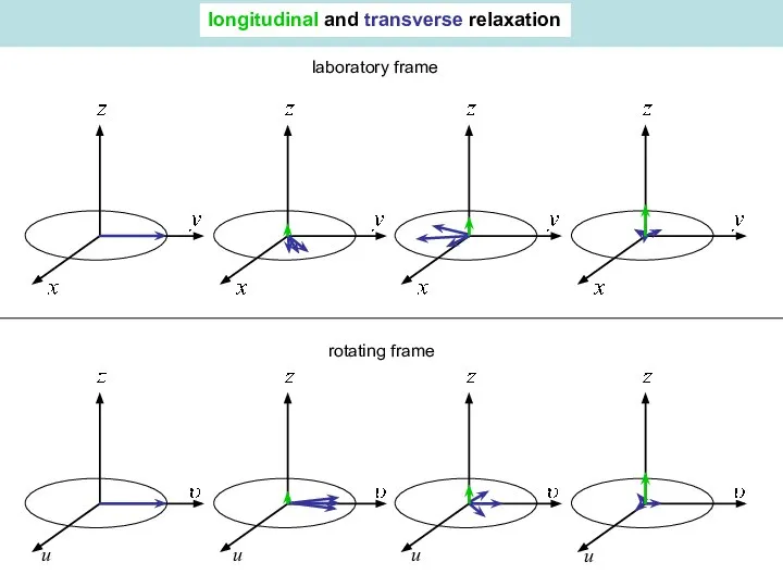 laboratory frame rotating frame u u u u longitudinal and transverse relaxation