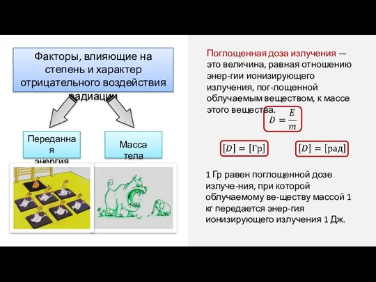 Факторы, влияющие на степень и характер отрицательного воздействия радиации Переданная энергия