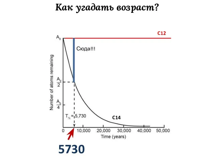 Как угадать возраст? C12 C14 5730 лет Сюда!!!