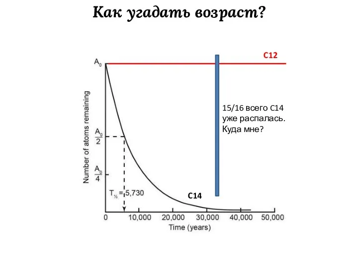 Как угадать возраст? C12 C14 15/16 всего C14 уже распалась. Куда мне?