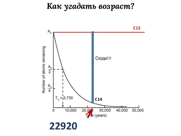 Как угадать возраст? C12 C14 Сюда!!! 22920 лет