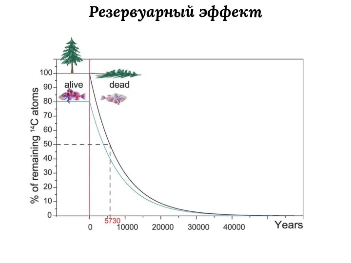 Резервуарный эффект