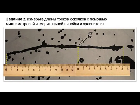 Задание 2: измерьте длины треков осколков с помощью миллиметровой измерительной линейки и сравните их.