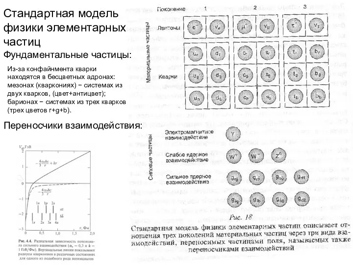 Стандартная модель физики элементарных частиц Фундаментальные частицы: Переносчики взаимодействия: Из-за конфайнмента