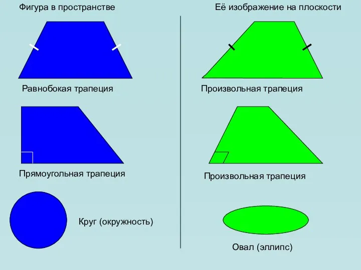 Фигура в пространстве Её изображение на плоскости Равнобокая трапеция Произвольная трапеция