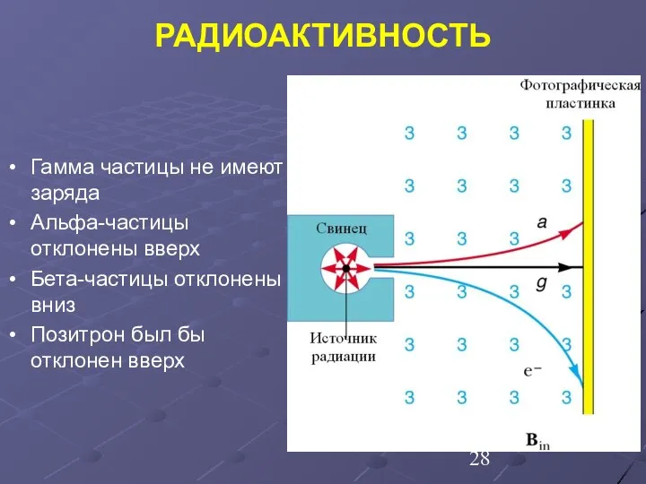 Гамма частицы не имеют заряда Альфа-частицы отклонены вверх Бета-частицы отклонены вниз