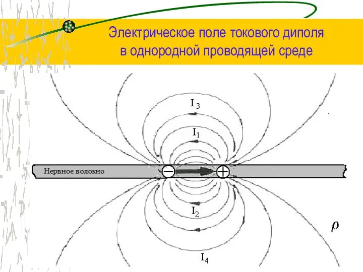 Электрическое поле токового диполя в однородной проводящей среде