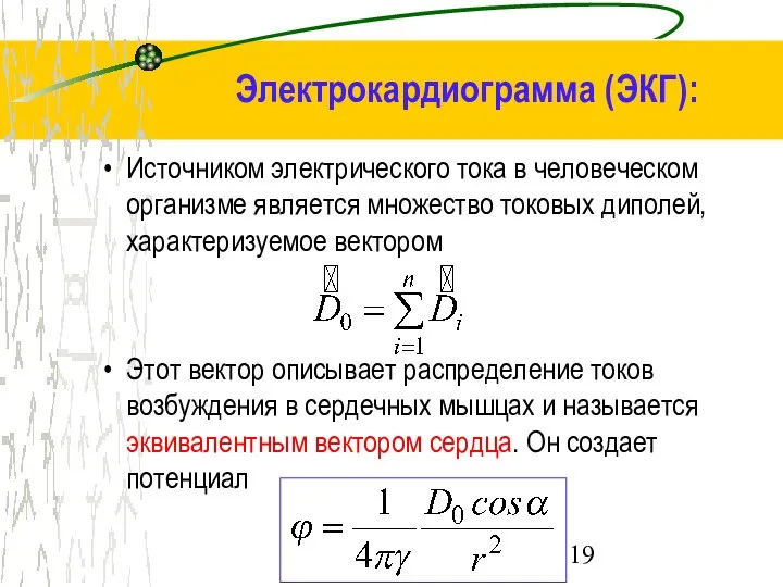 Источником электрического тока в человеческом организме является множество токовых диполей, характеризуемое