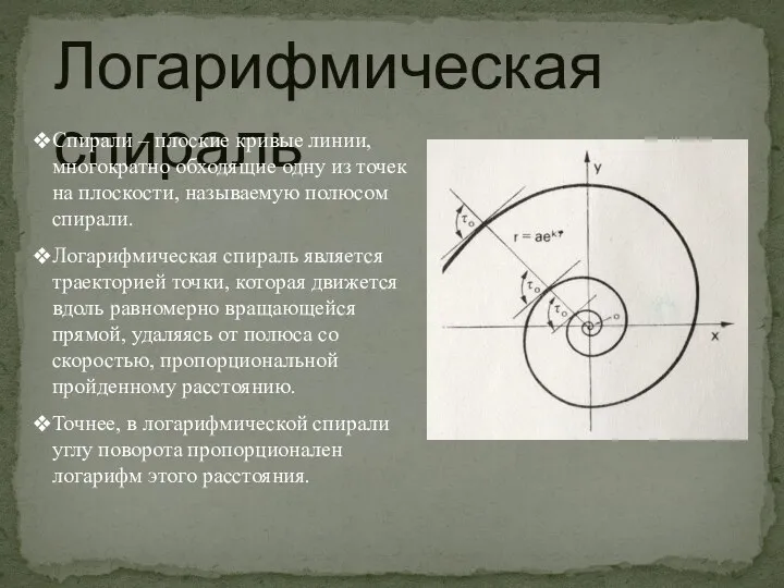 Логарифмическая спираль Спирали – плоские кривые линии, многократно обходящие одну из