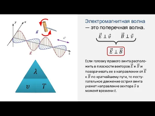 Электромагнитная волна — это поперечная волна.