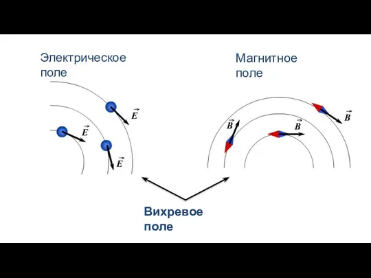 Магнитное поле Электрическое поле Вихревое поле