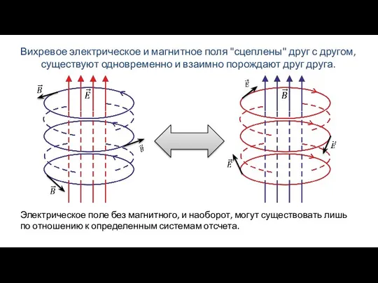 Вихревое электрическое и магнитное поля "сцеплены" друг с дру­гом, существуют одновременно