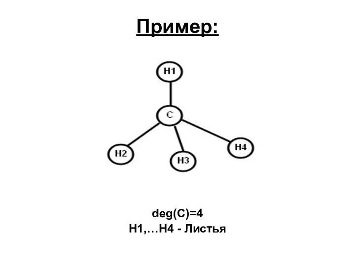 Пример: deg(C)=4 H1,…H4 - Листья