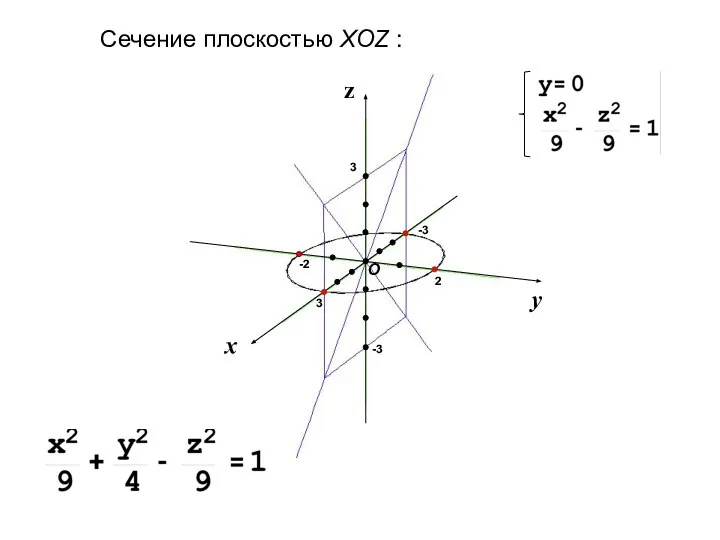 Сечение плоскостью XOZ :