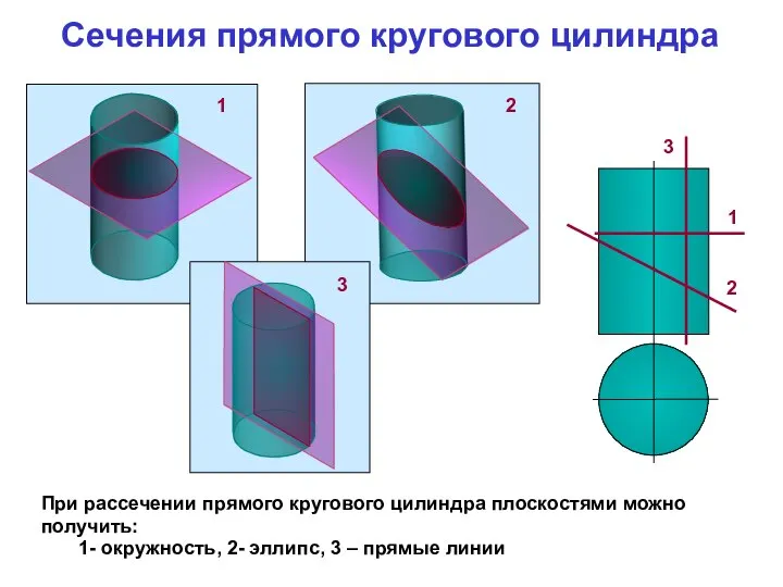 При рассечении прямого кругового цилиндра плоскостями можно получить: 1- окружность, 2-