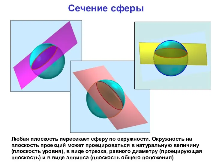 Сечение сферы Любая плоскость пересекает сферу по окружности. Окружность на плоскость