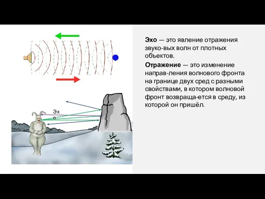 Эхо — это явление отражения звуко-вых волн от плотных объектов. Отражение