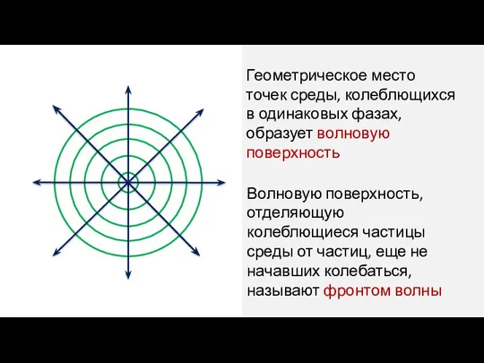 Геометрическое место точек среды, колеблющихся в одинаковых фа­зах, образует волновую поверхность