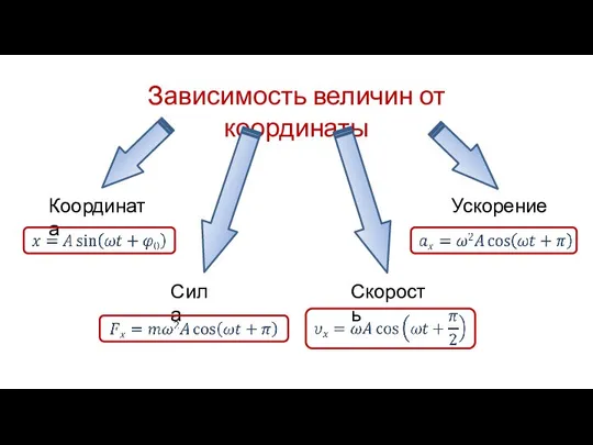 Зависимость величин от координаты Координата Сила Скорость Ускорение