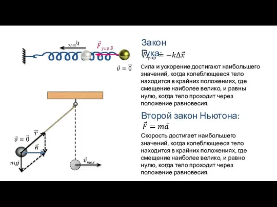 Закон Гука: Второй закон Ньютона: Cила и ускорение достигают наибольшего значений,