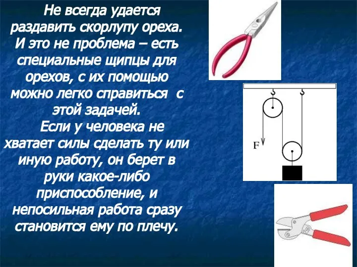 Не всегда удается раздавить скорлупу ореха. И это не проблема –