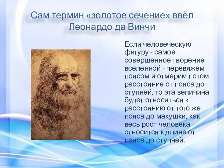 Сам термин «золотое сечение» ввёл Леонардо да Винчи Если человеческую фигуру